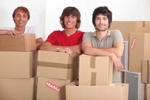 Local moving van handling access and parking challenges in Addington